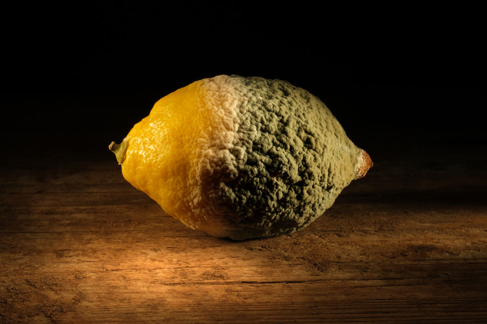 Lemon with mould