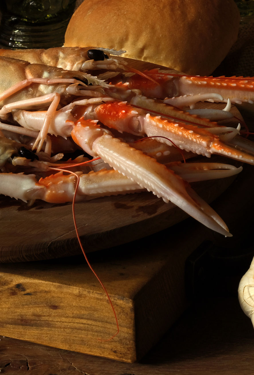 Xenia 1, detail (langoustine)