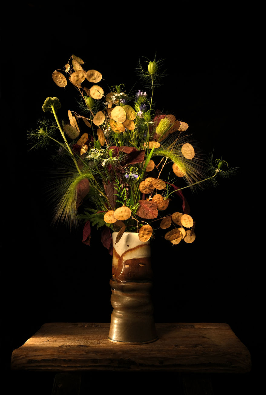 Wildflowers 8