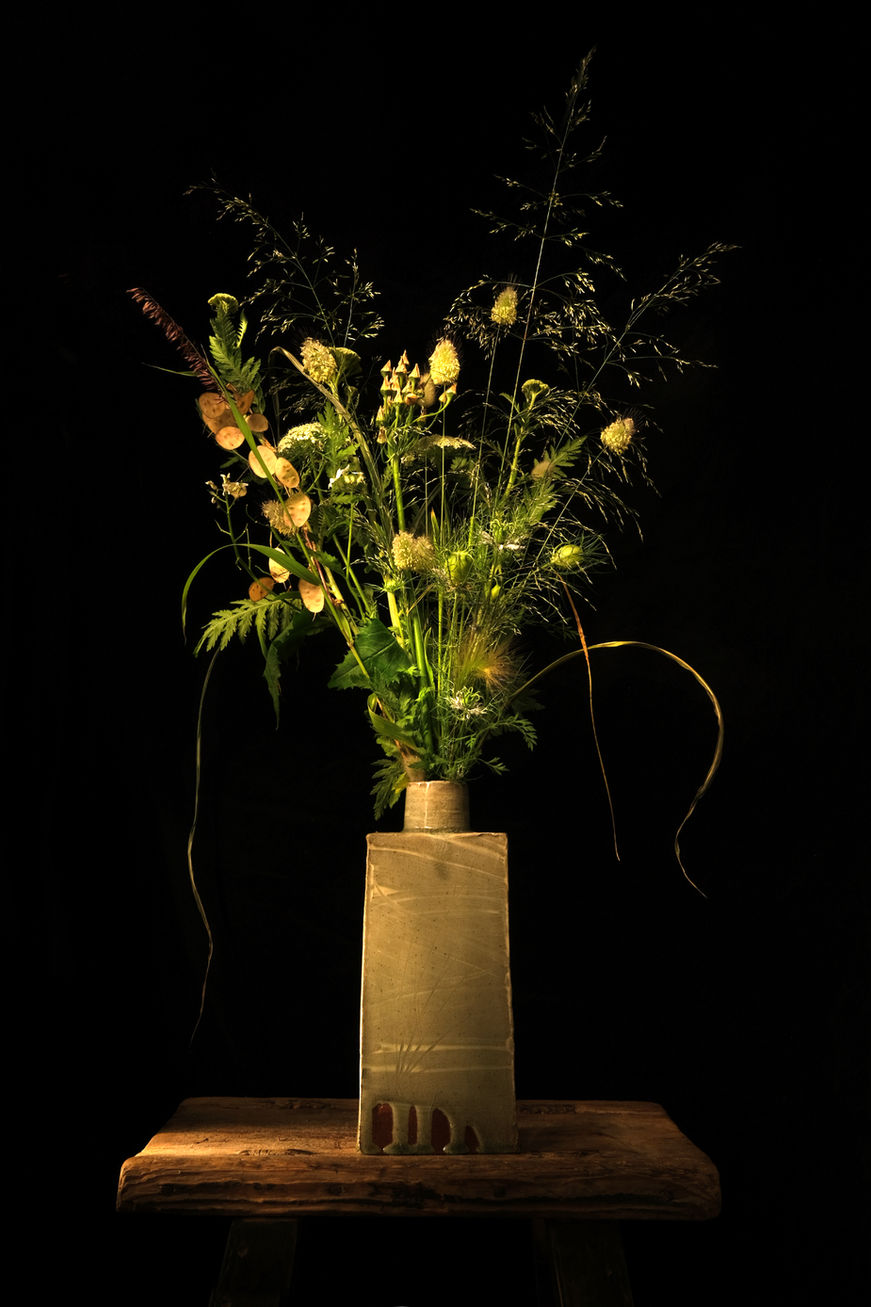 Wildflowers 5