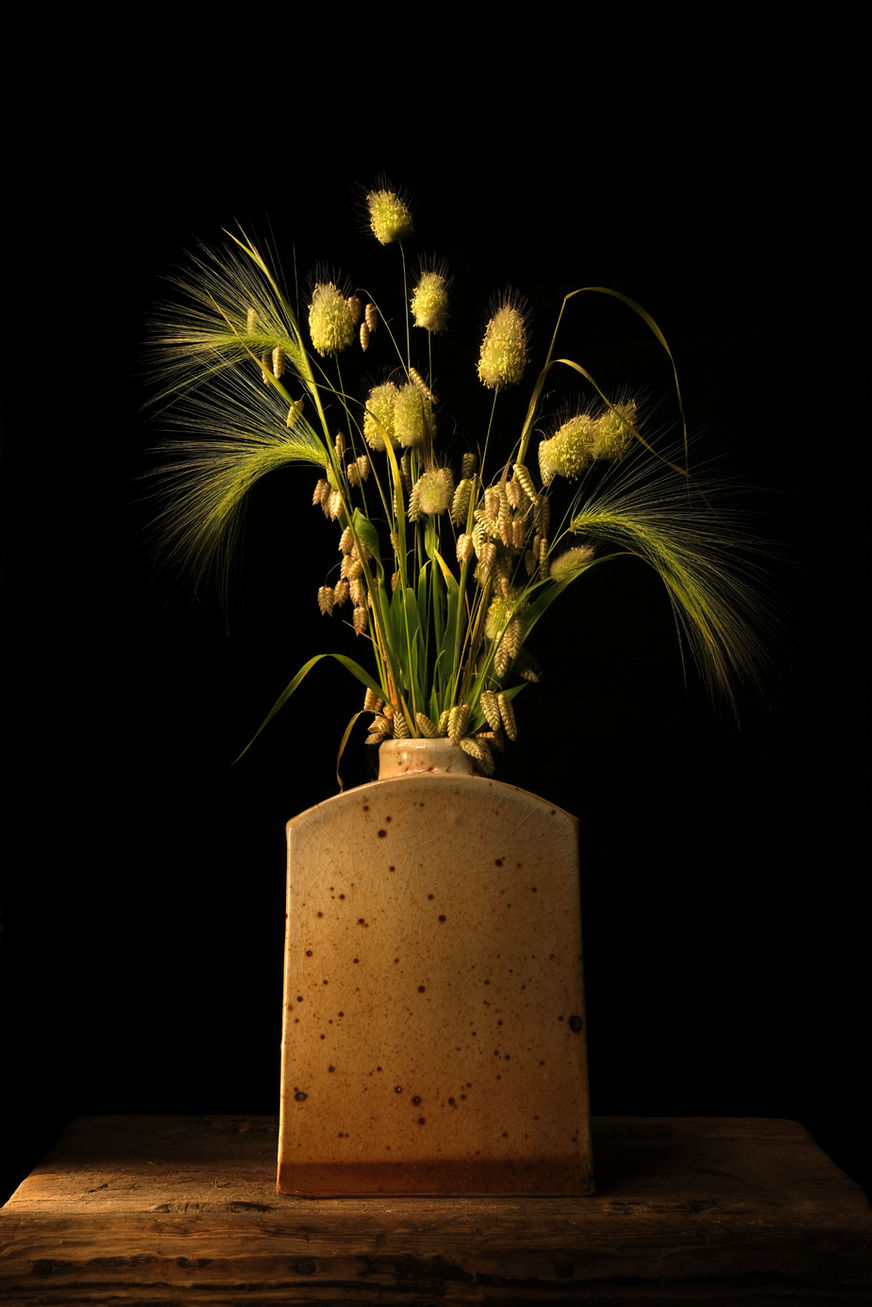 Wildflowers 4