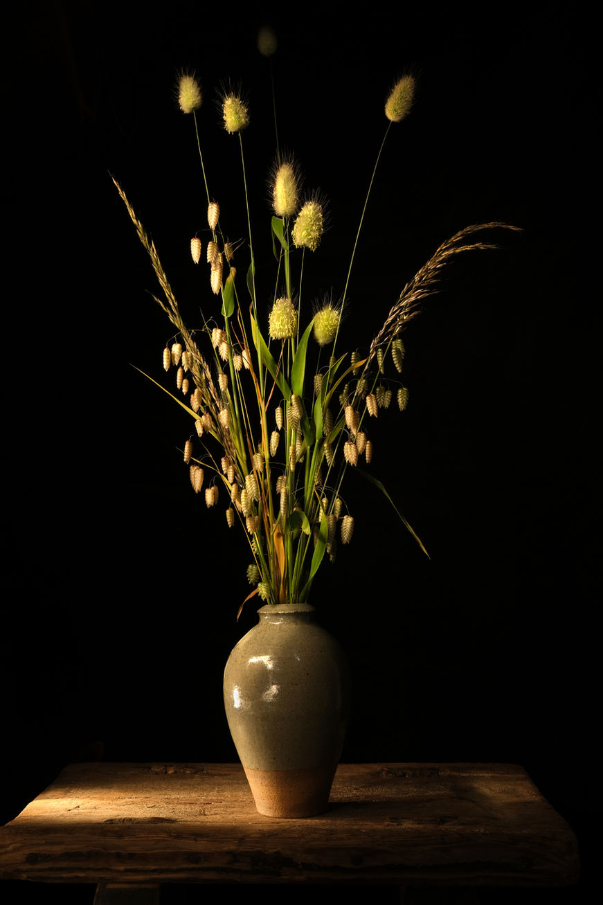Wildflowers 1