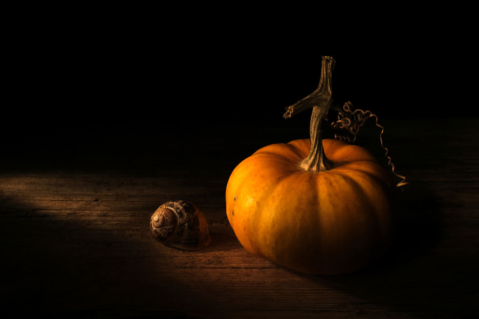 Pumpkin with snail