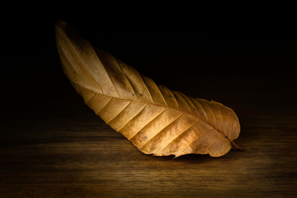 Gold leaf