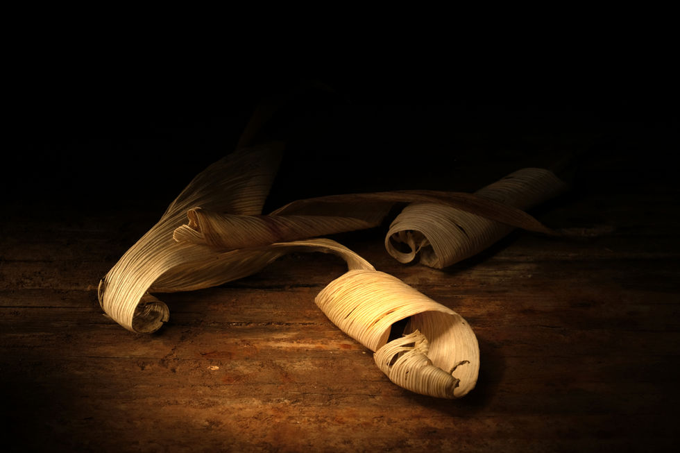 Corn sheaths