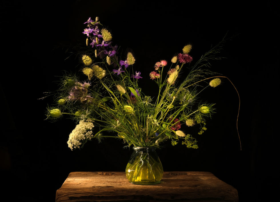 Wildflowers 6