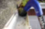 Gutter and fascia cleans
