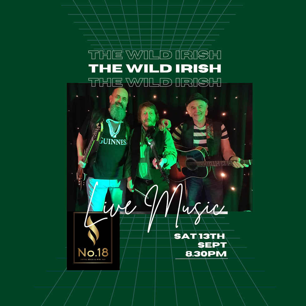 The Wild Irish Live