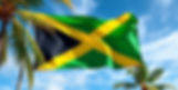 jamaica flag and beach and coconut trees.jpg