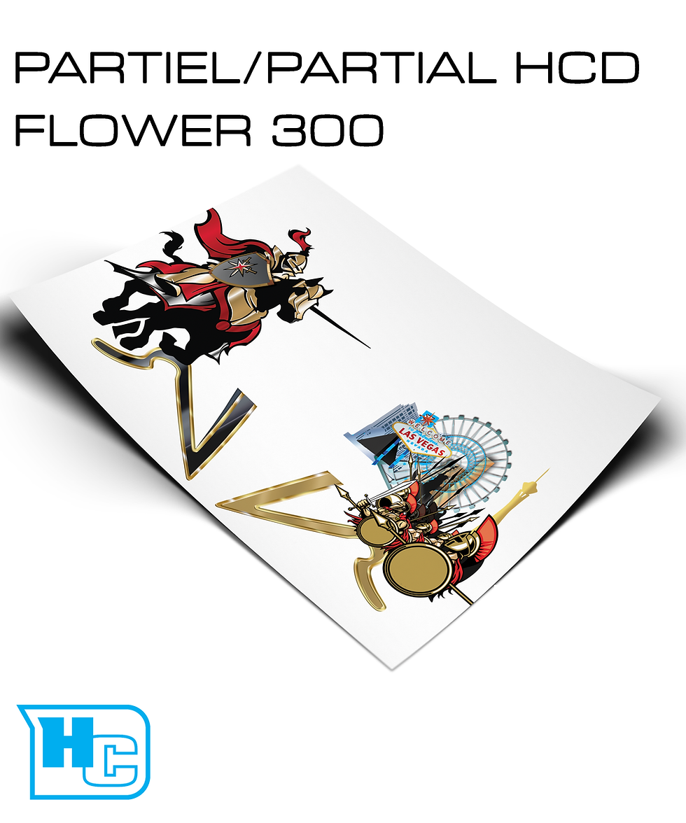 Miniature : Wrap de Masque Partiel Flower 300