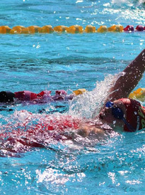 California Gold Swimmer competing in a backstroke race.