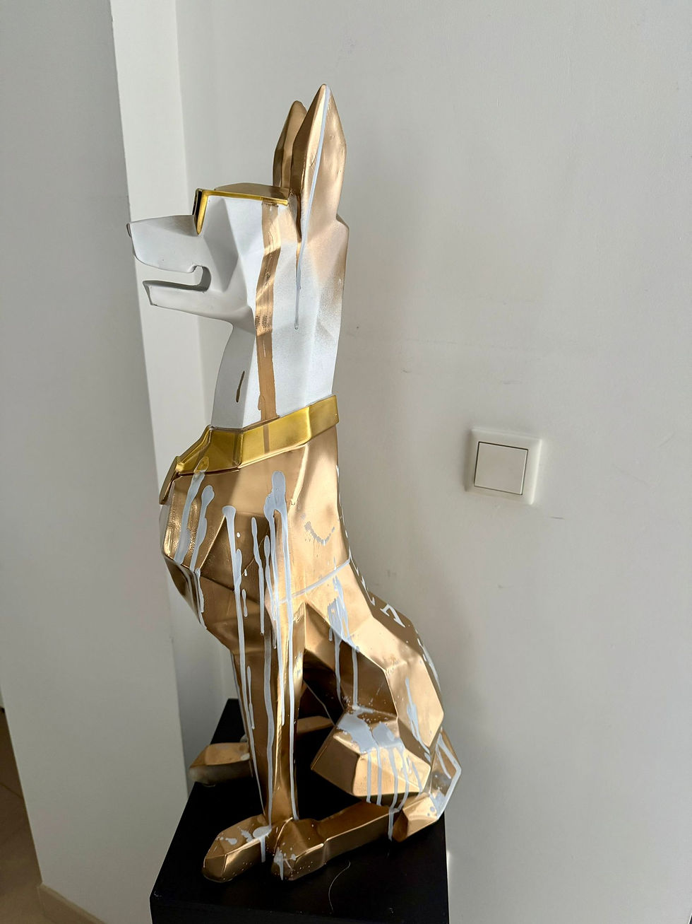 Thumbnail: R.OLEX XXL GOLDEN BOY