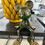 Thumbnail: Mickey Funky Rolex