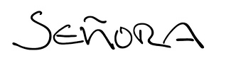 schriftzug_solo513x136_2x.png