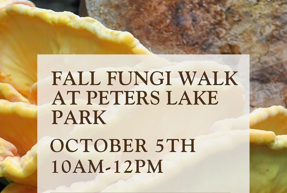 Discover the Hidden World of Fungi with UCCWA!