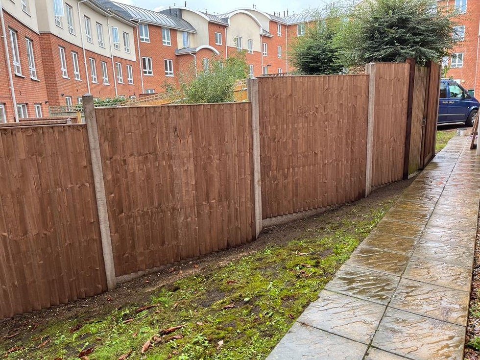 Fence and gate - September 2022 - 3