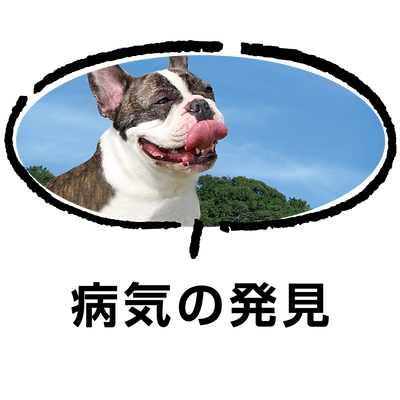 愛犬の病気発見