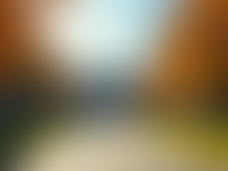 Dicas Essenciais para Uma Experiência Erasmus Incrível