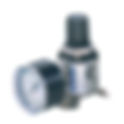 Stainless steel Regulator RS | Koganei