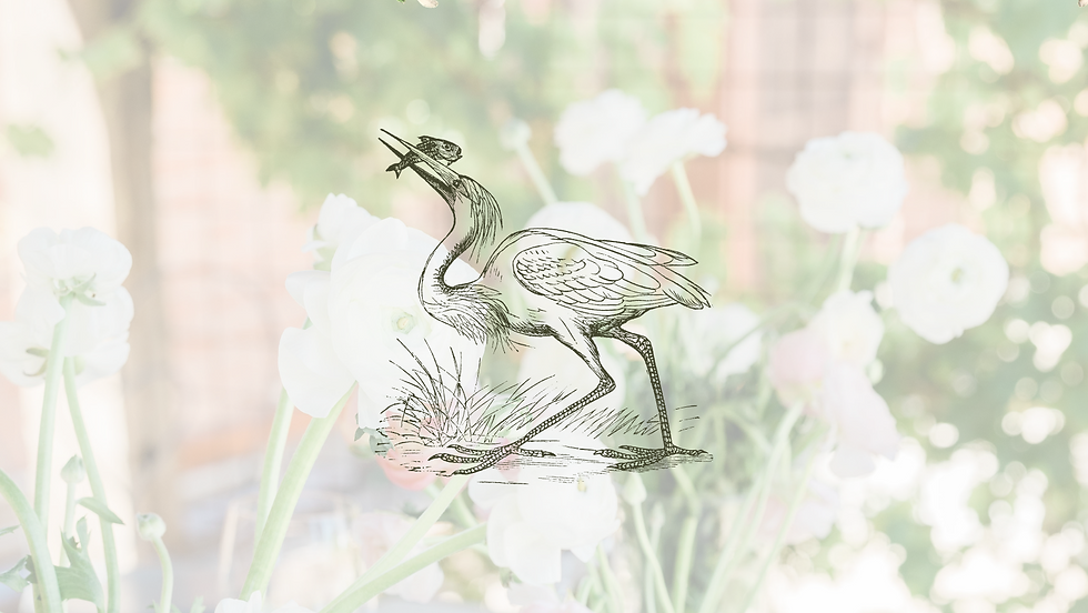 Spring Supper