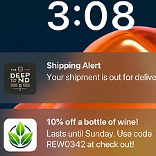 Push Notifications.png