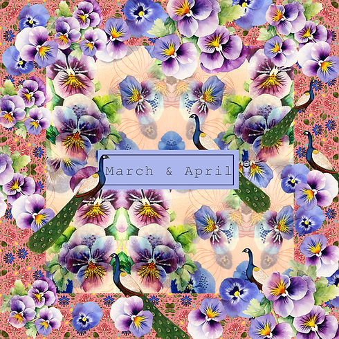 MARCH & APRIL SAREE 2026.jpg