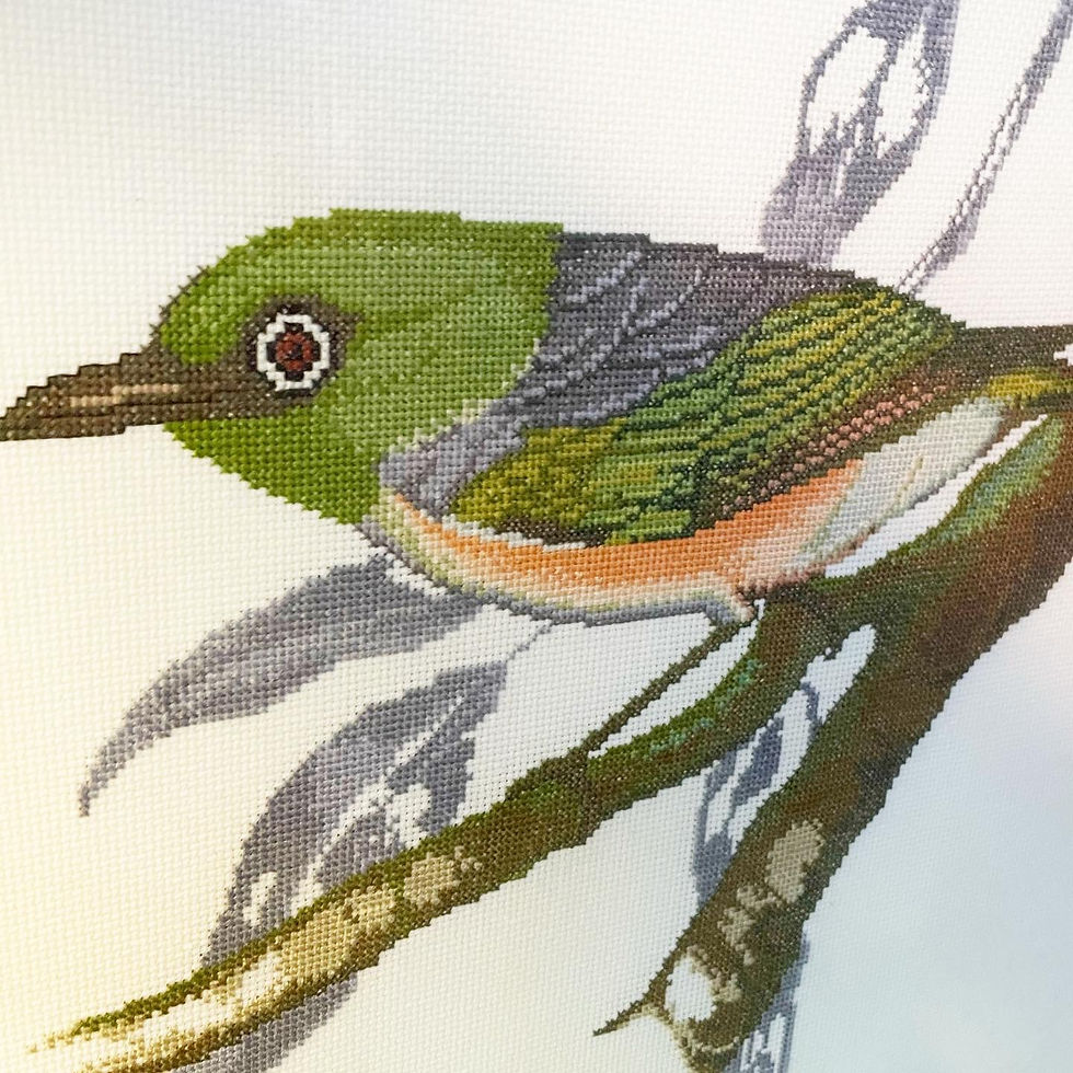 Thumbnail: Vintage Cross Stitch Framed Bird Artwork in Excellent Condition