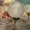Thumbnail: Chandelier: Traditional 5-Arm Polished Brass Chandelier W/ Frosted Glass Globes
