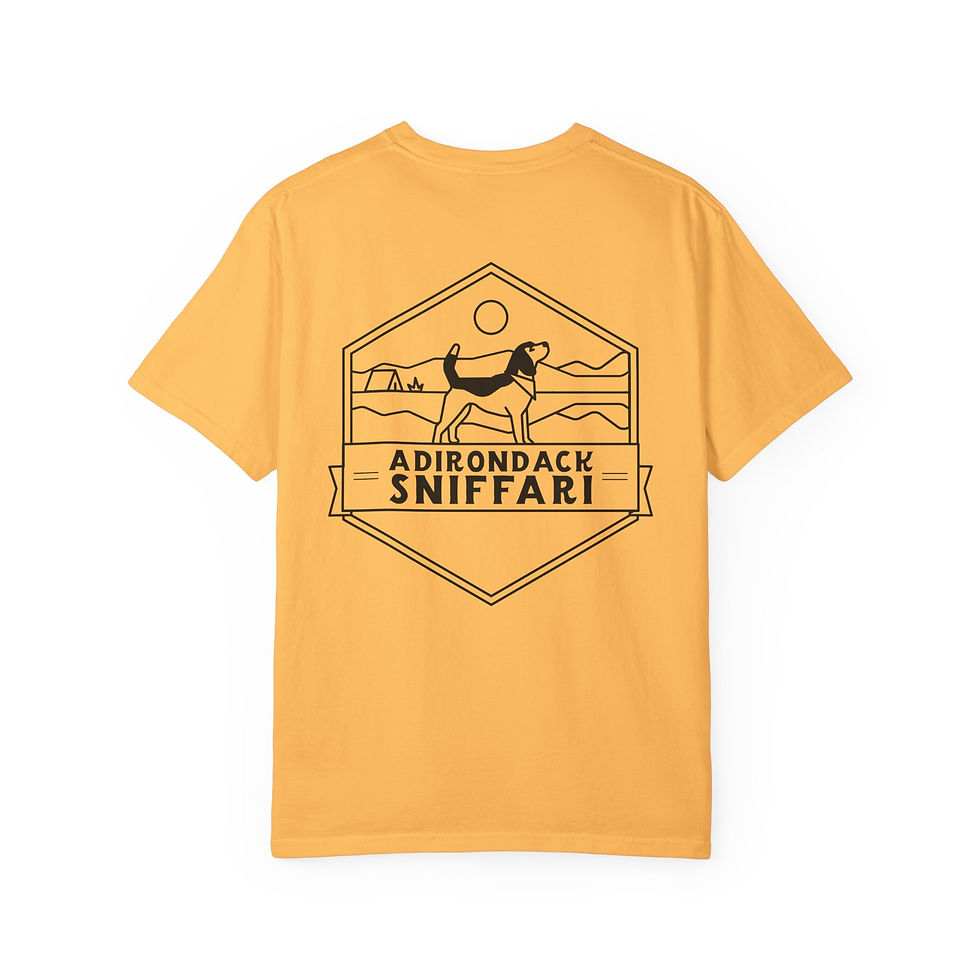 Thumbnail: Prioritize Joy T-Shirt