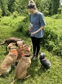 8cad4a06-da84-4030-83f1-9bbb23112721 (1).jpeg