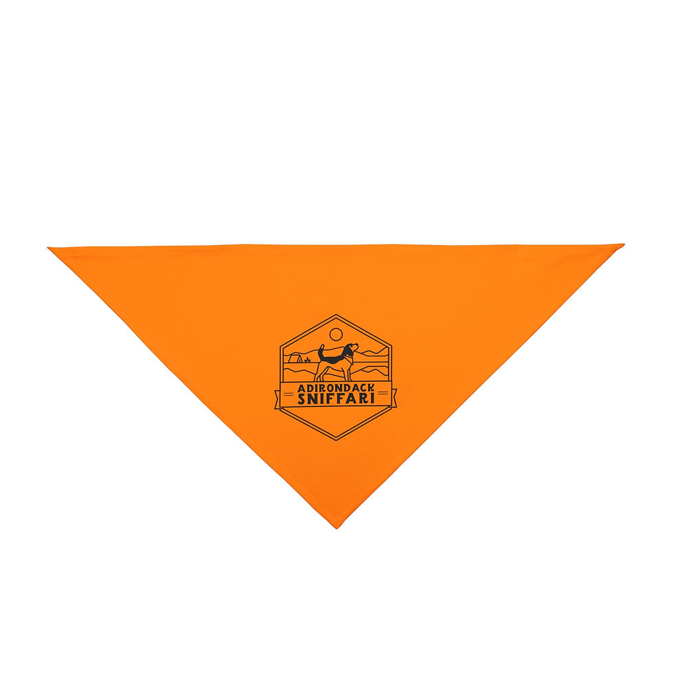 Thumbnail: Sniffari Bandana