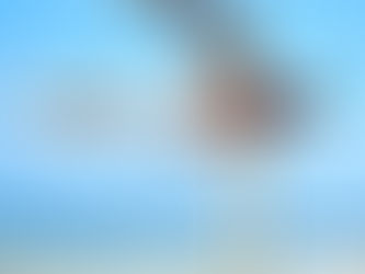 DICAS DE TREINO DE FRONT LEVER