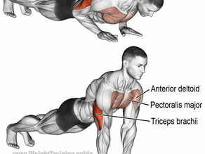 EXPLORANDO OS BENEFÍCIOS DA FLEXÃO: TRANSFORME SEU CORPO E SUA SAÚDE