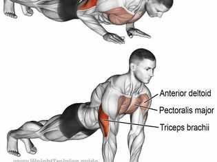 EXPLORANDO OS BENEFÍCIOS DA FLEXÃO: TRANSFORME SEU CORPO E SUA SAÚDE