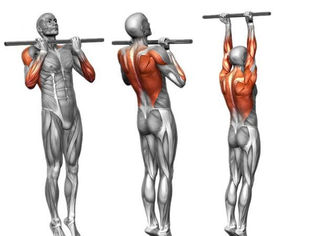 Desbravando a Calistenia: Um Guia para Iniciantes