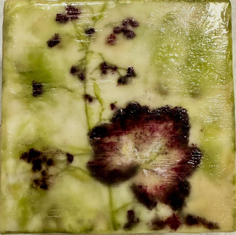 An encaustic painting created useing pressed foliage.