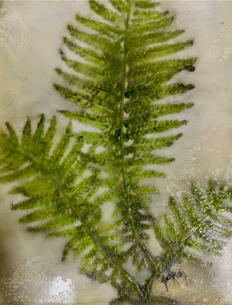An encaustic painting created useing pressed foliage.