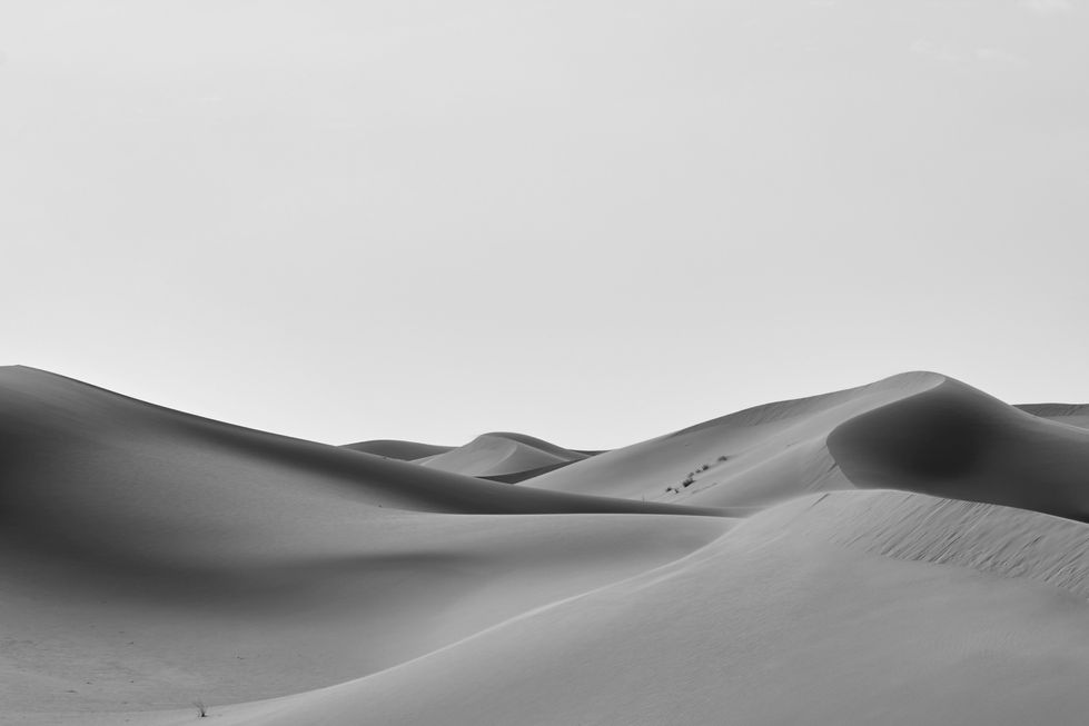 wolfgang-hasselmann-1ICIhK-ElJs-unsplash-edited_edited.jpg