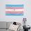 Thumbnail: Mama Dragons Trans flag