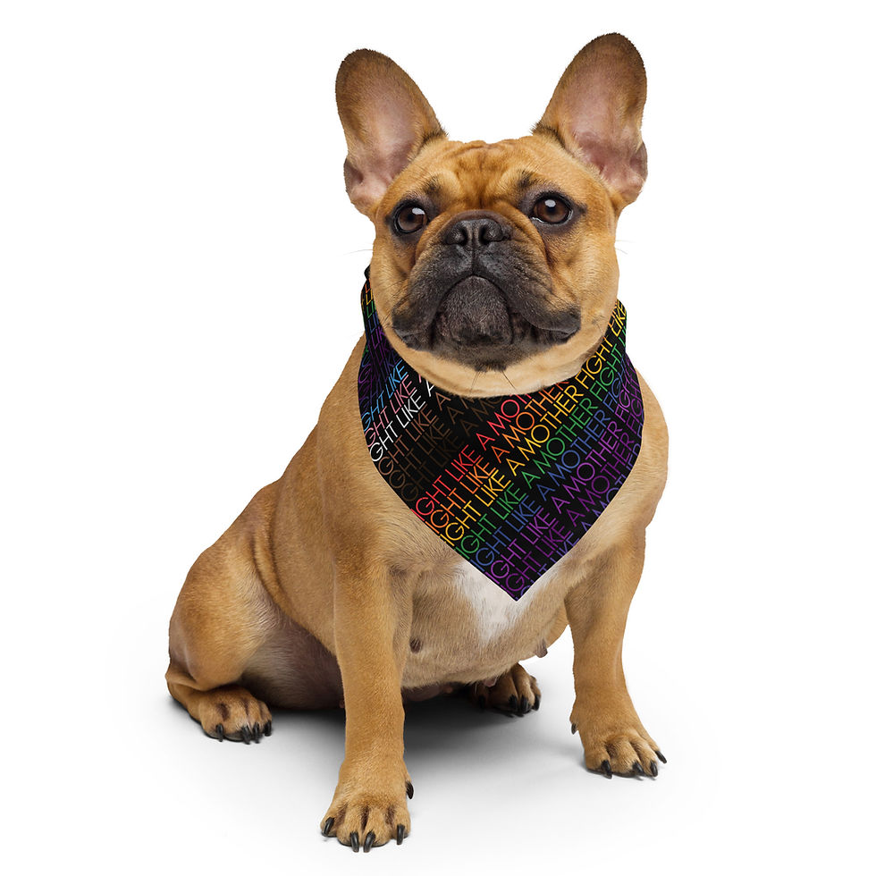 Thumbnail: Rainbow Fight bandana