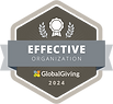 Effective nonprofit award icon