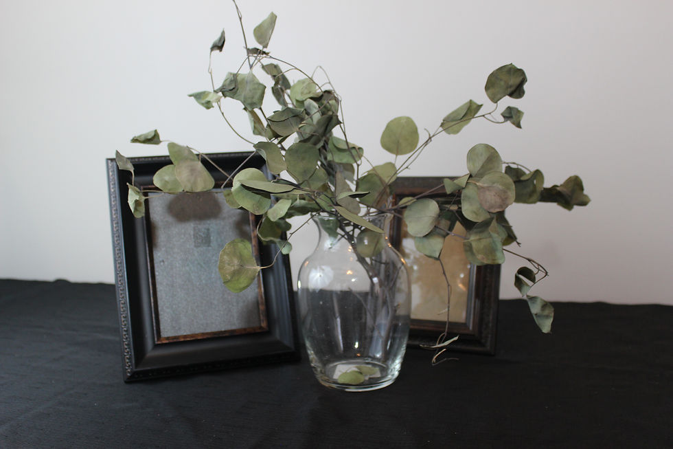 Bubble Vases