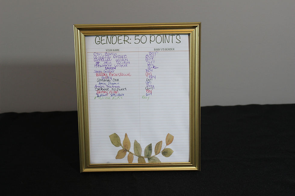 Gold Picture Frame Collection