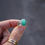 Thumbnail: Spring infused Rings ~ Chrysoprase~ 6.25 wide band