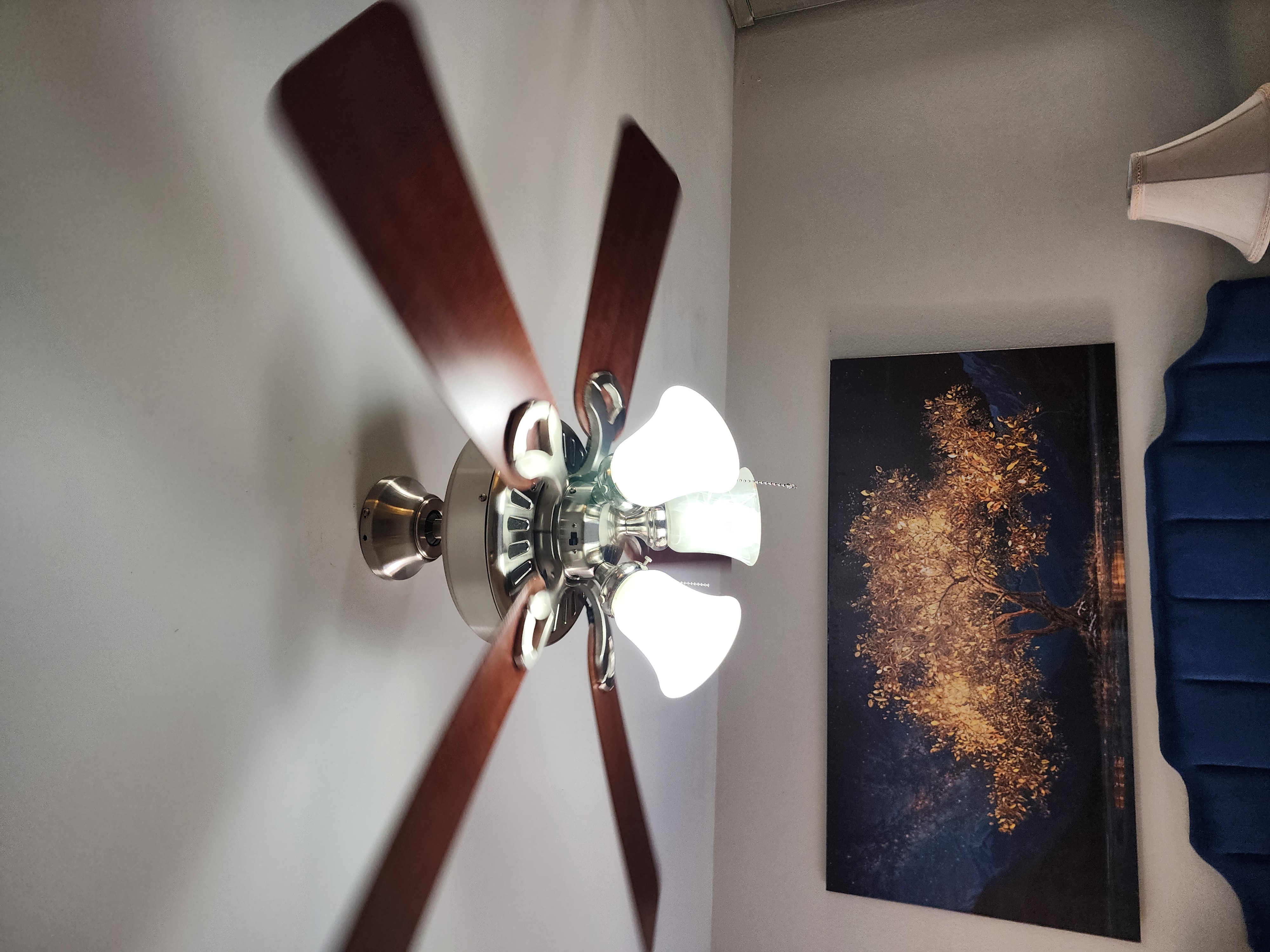 Ceiling Fan Installation service from Repair-It Eric