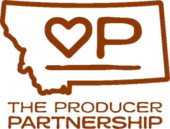 pplogo.webp
