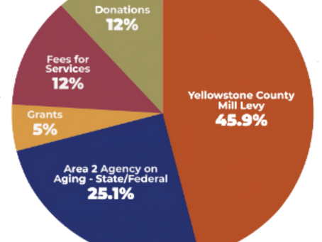 How Allies In Aging Is Funded: A Community Partnership