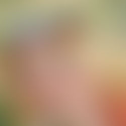 Istruzioni rituali Litha Notti notturne di Kupala Italiano