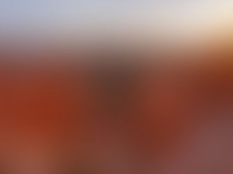 Discovering the Mesmerizing Wonders of Bryce Canyon National Park