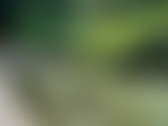 Ethereal Reflections: The Enchantment of Hot Springs National Park